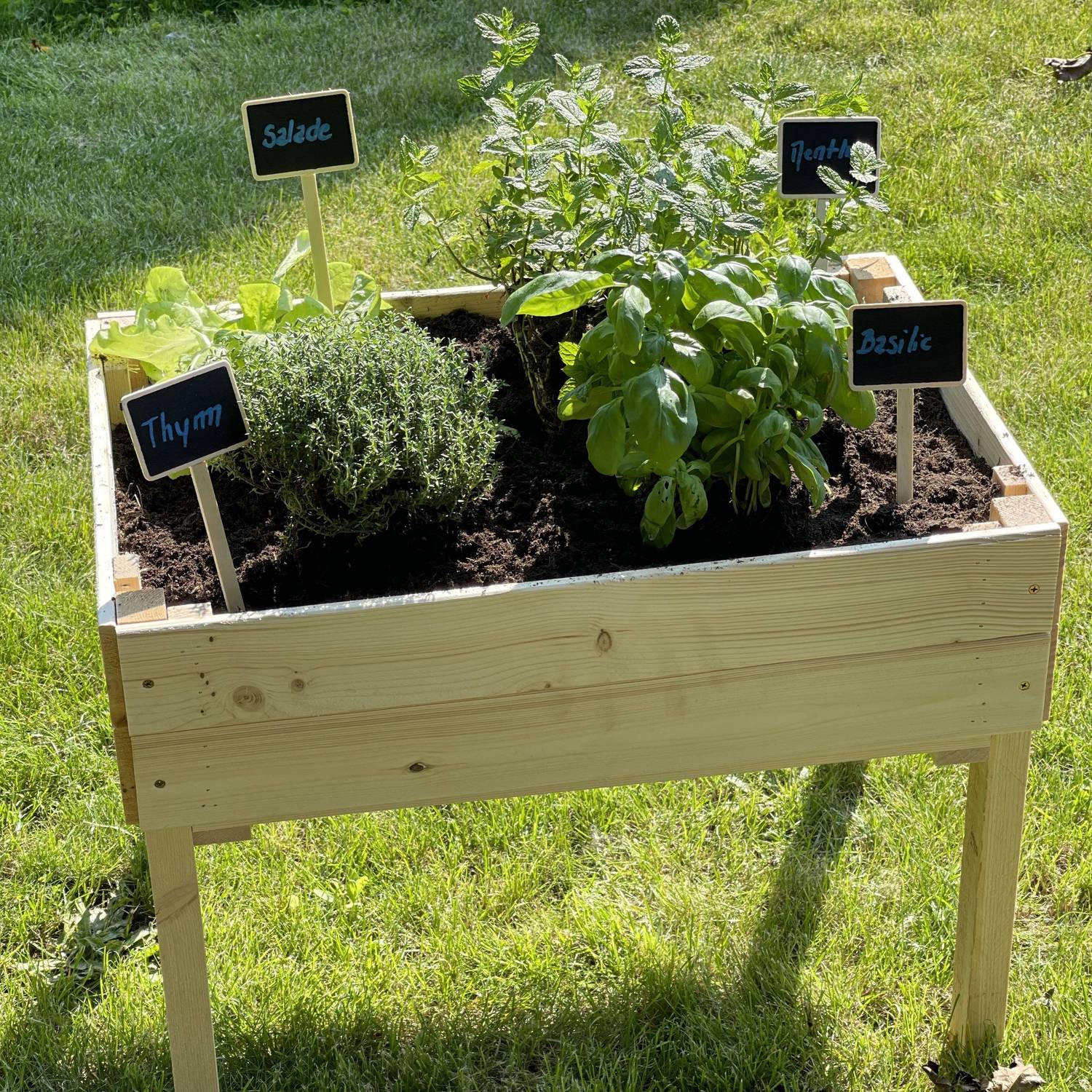 Carré potager pour enfants, sur pieds en bois de pin canadien FSC - Tulipe  Photo3