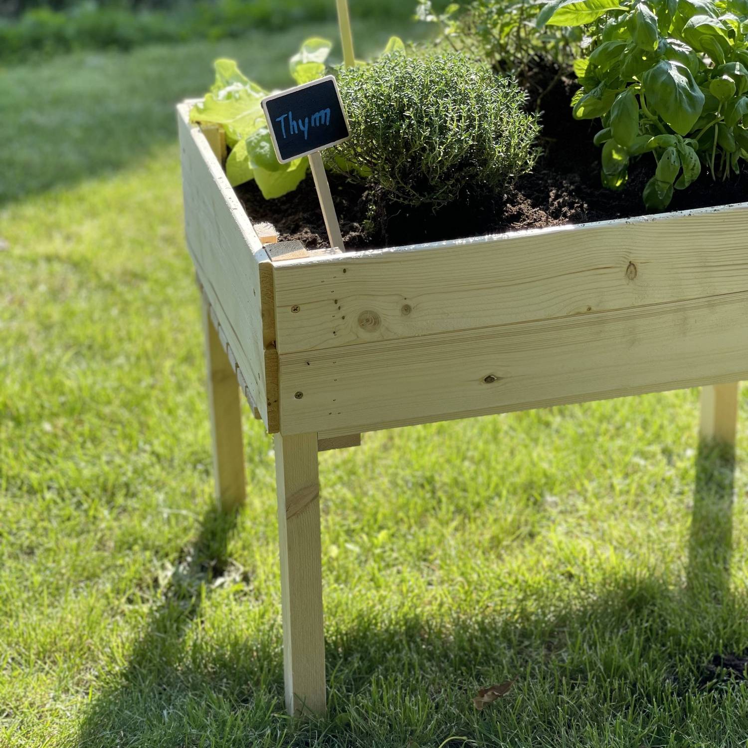 Carré potager pour enfants, sur pieds en bois de pin canadien FSC - Tulipe  Photo4