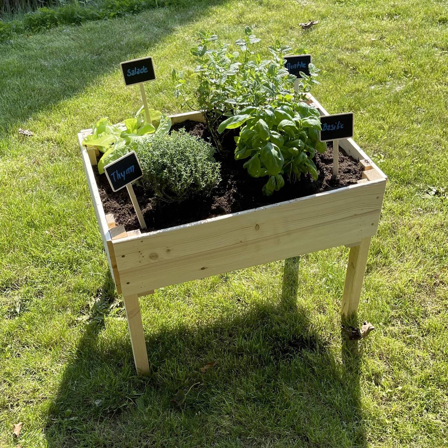 Carré potager pour enfants, sur pieds en bois de pin canadien FSC - Tulipe  Photo5