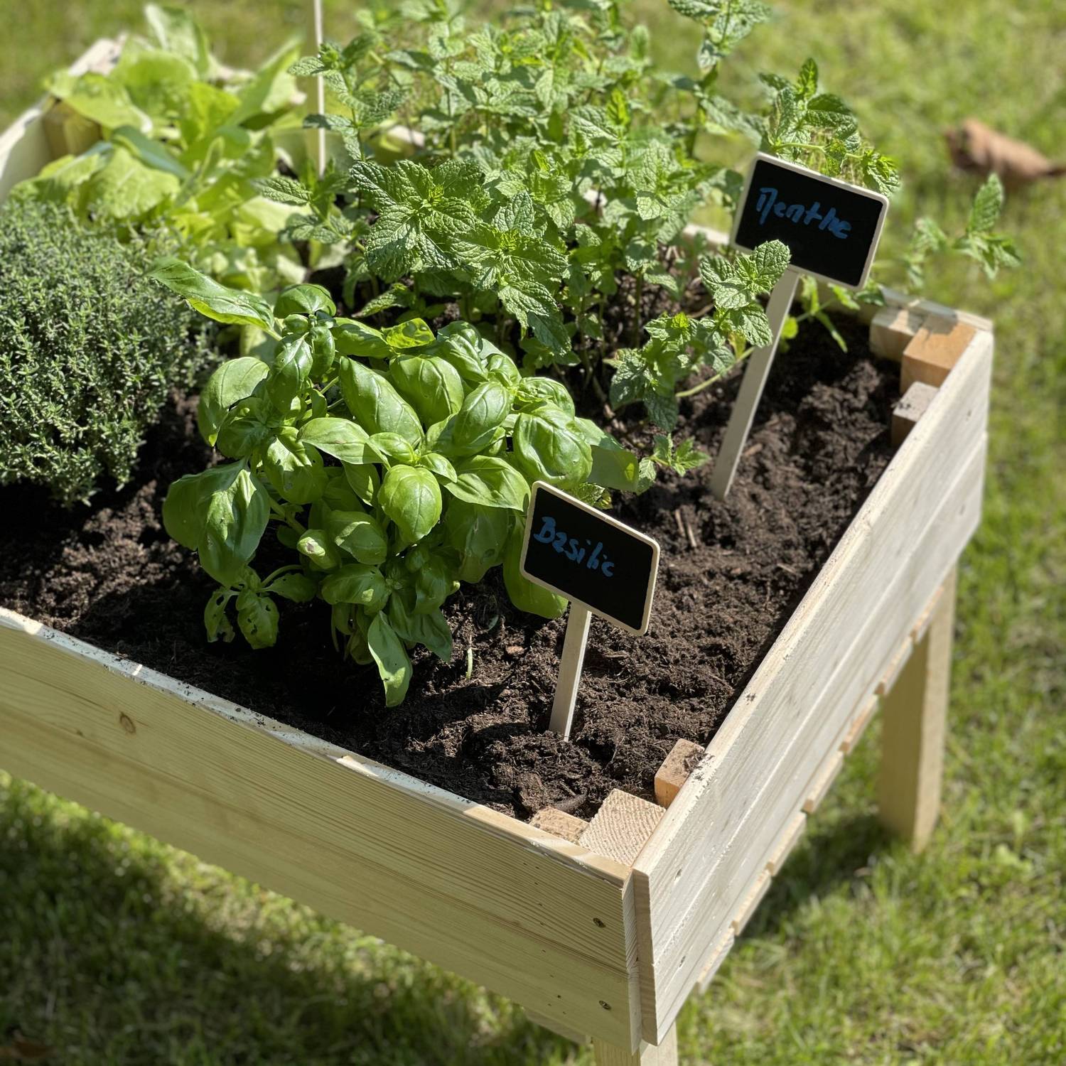 Carré potager pour enfants, sur pieds en bois de pin canadien FSC - Tulipe  Photo6