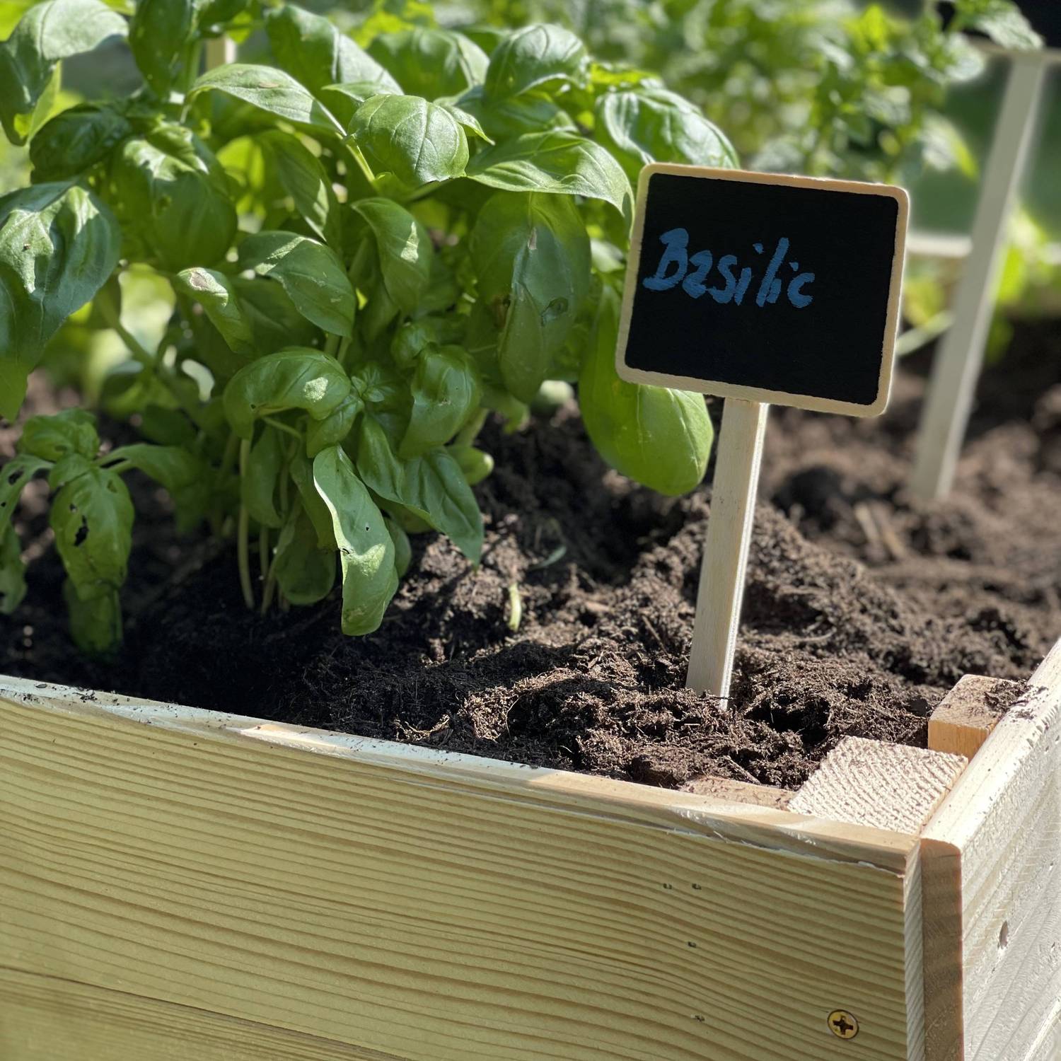 Carré potager pour enfants, sur pieds en bois de pin canadien FSC - Tulipe  Photo7