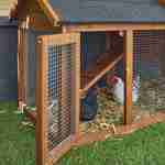 Poulailler en bois GALINETTE, cage à poule de 151x69,5x92,5cm Photo3