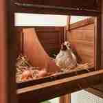 Poulailler en bois GELINE, 4 poules, cage à poule avec enclos Photo4