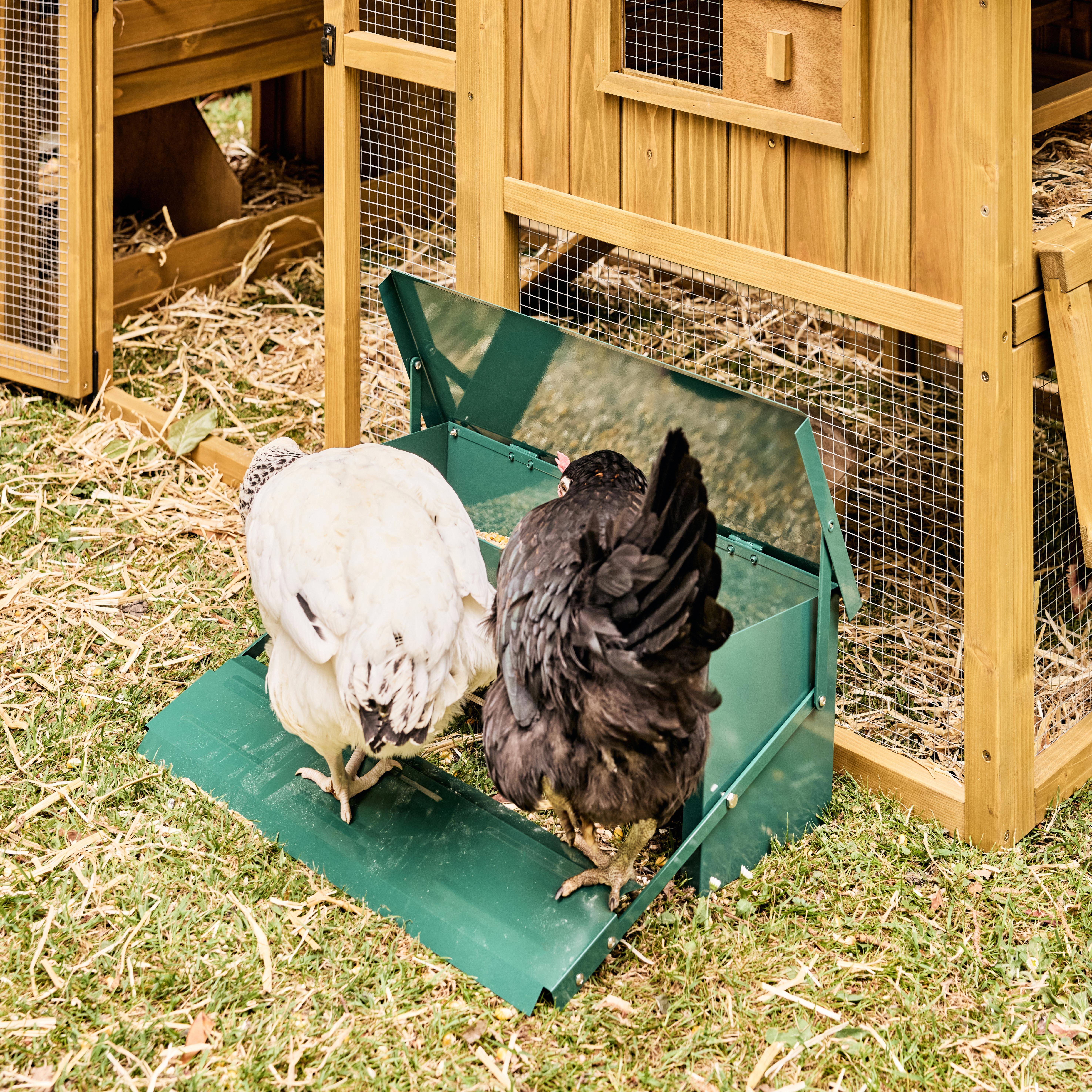 Automatic chicken feeder, 5kg, Chicken feeder, Green, 51x35x18.5 cm Photo4
