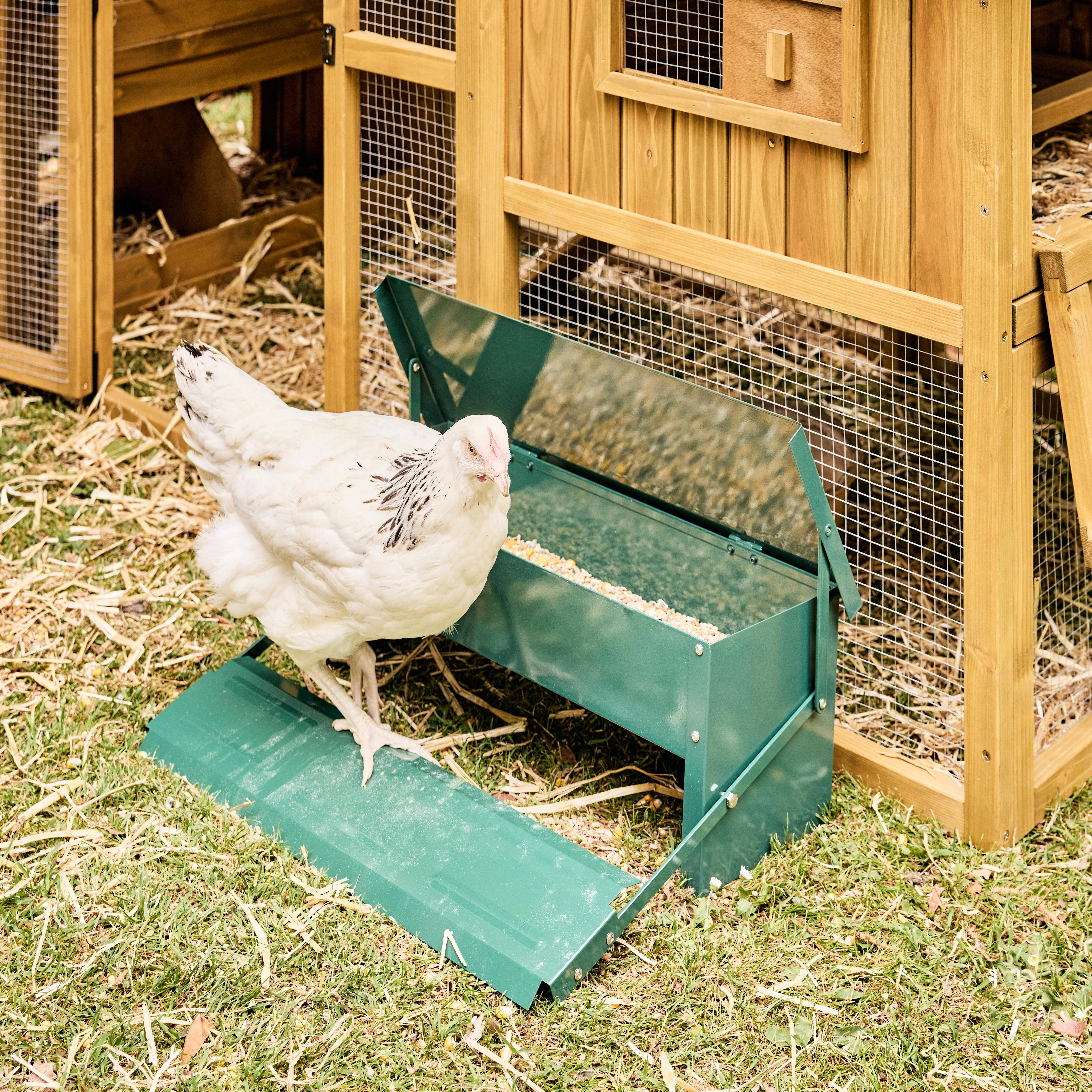 Automatic chicken feeder, 5kg, Chicken feeder, Green, 51x35x18.5 cm Photo1