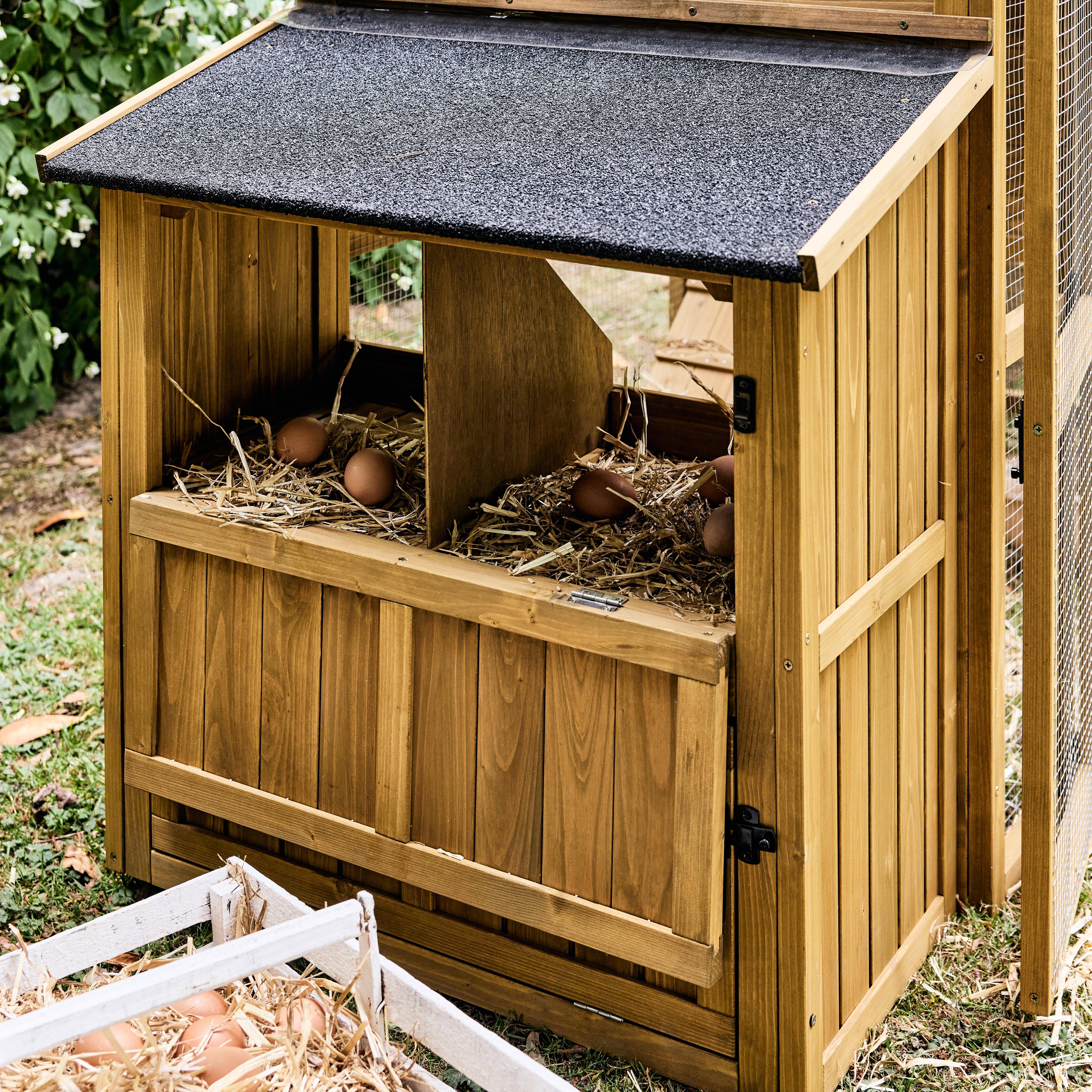 Poulailler 6 poules bois de sapin - 195,5 x 90 x 152,5 cm - Gasconne Photo5