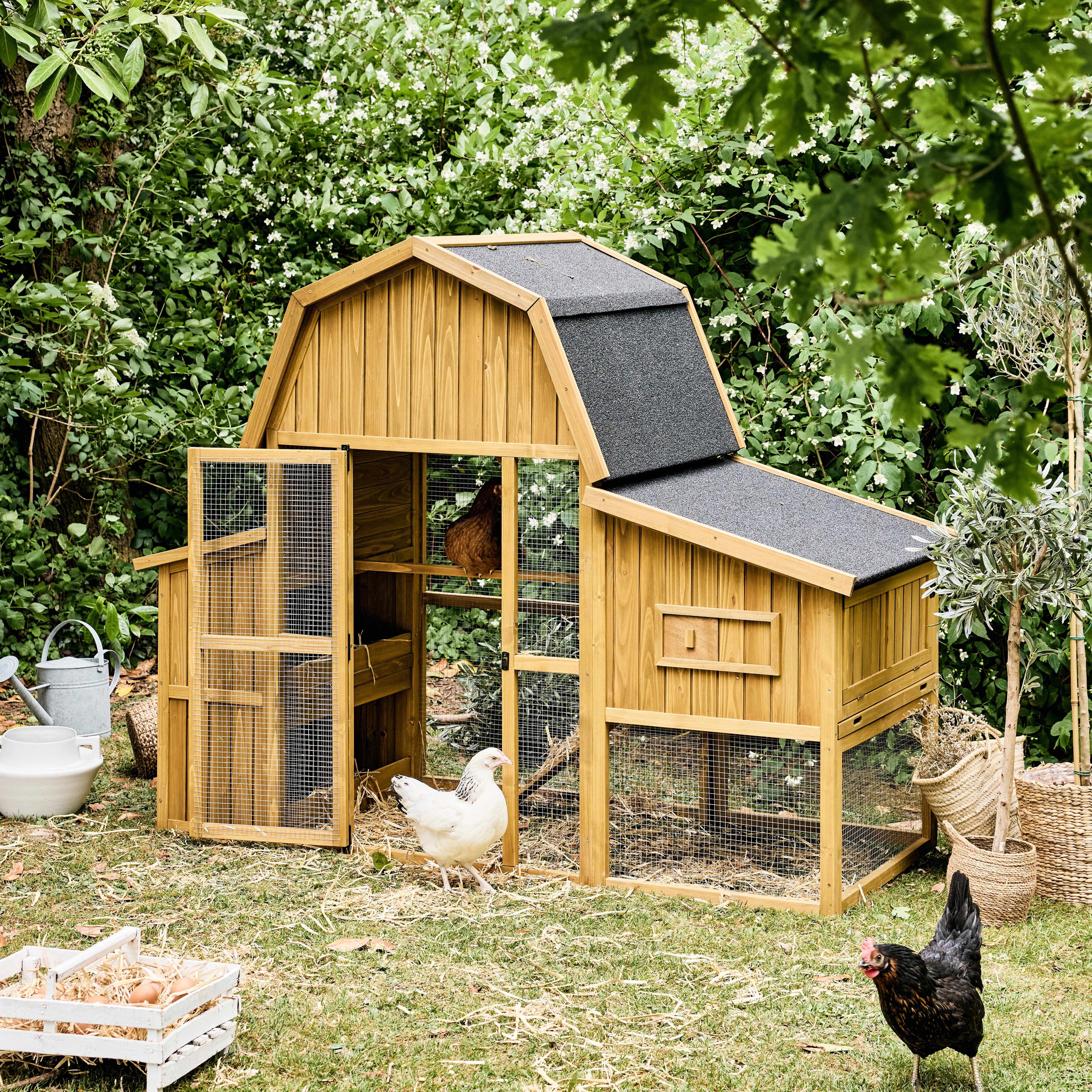 Poulailler 6 poules bois de sapin - 195,5 x 90 x 152,5 cm - Gasconne Photo3