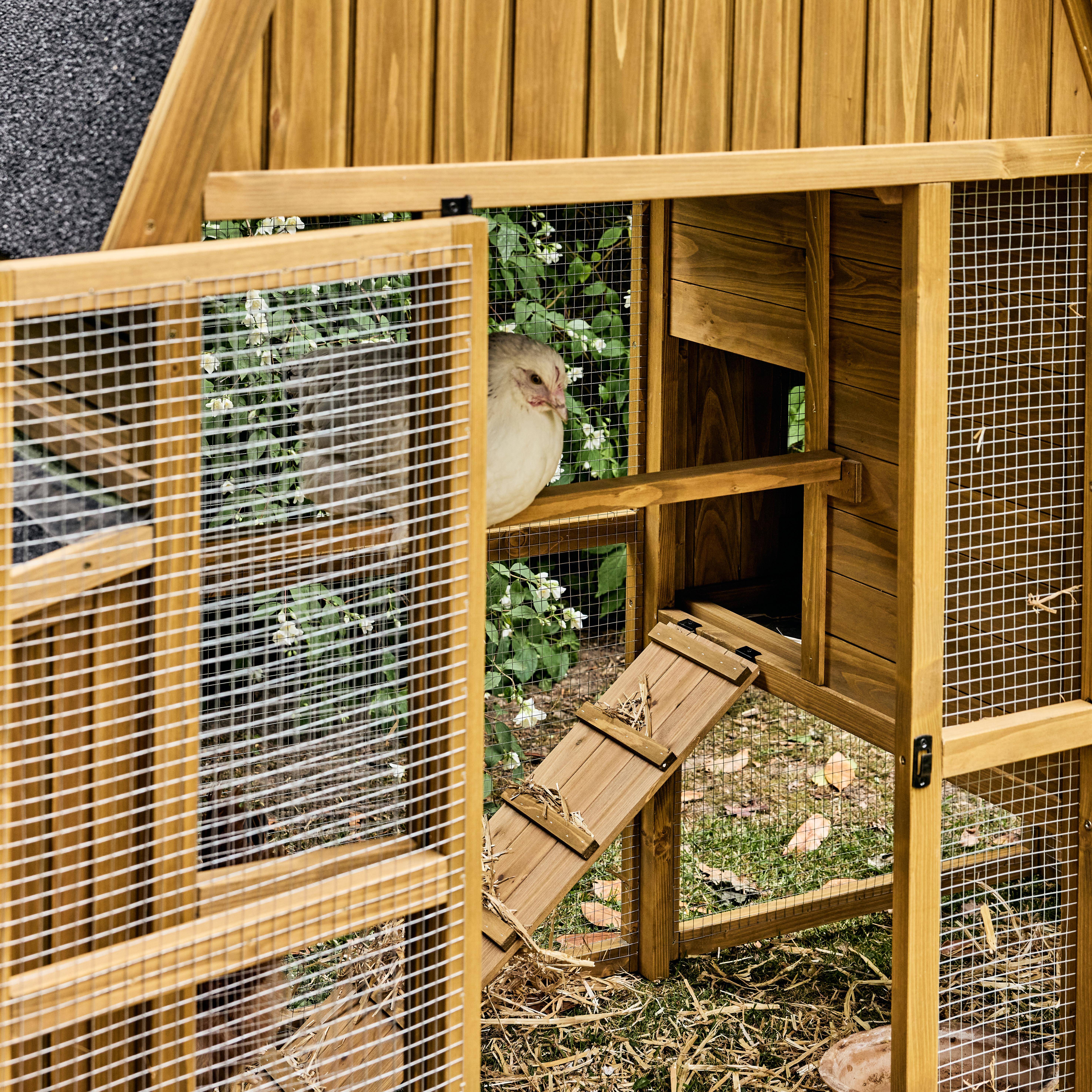 Poulailler 6 poules bois de sapin - 195,5 x 90 x 152,5 cm - Gasconne Photo4