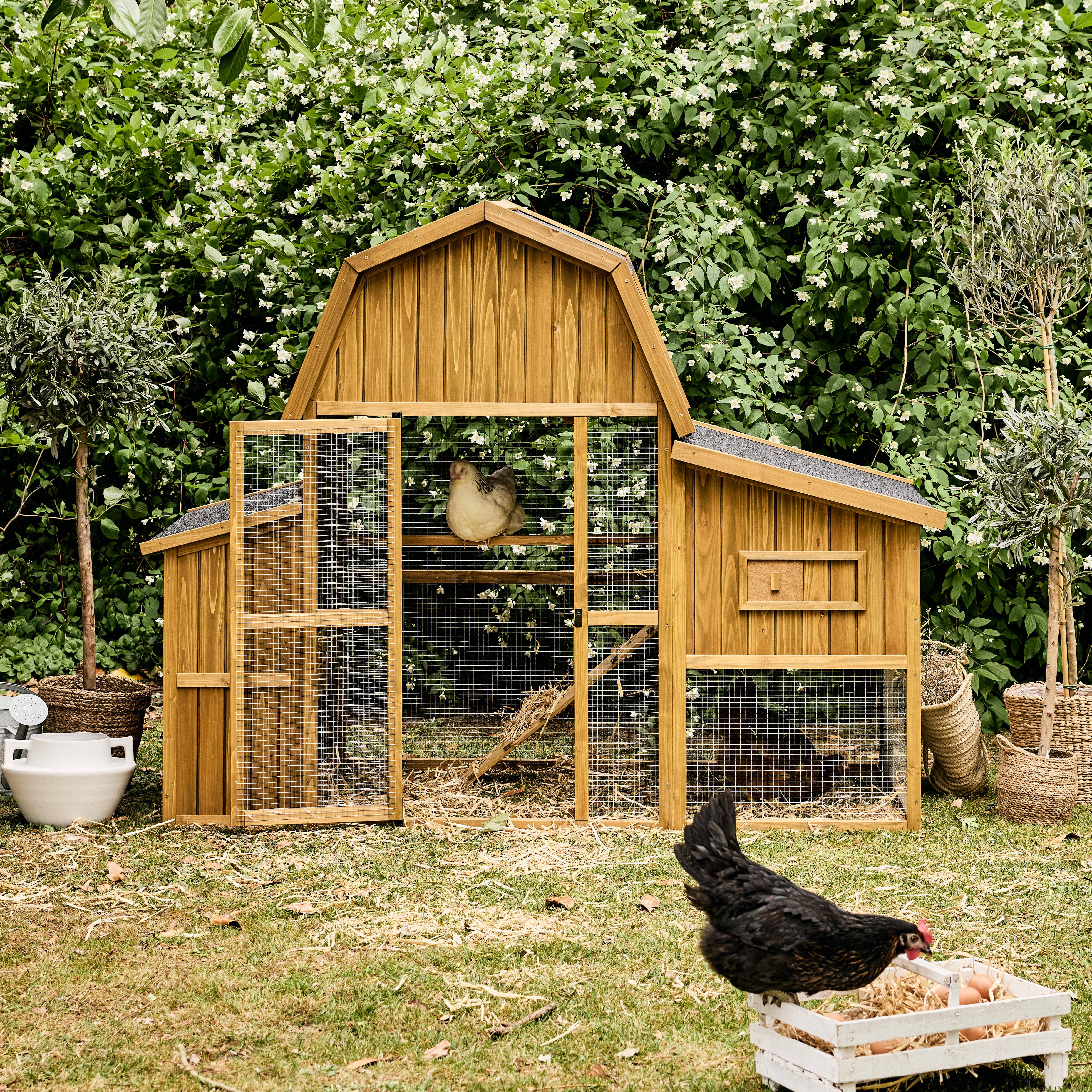 Poulailler 6 poules bois de sapin - 195,5 x 90 x 152,5 cm - Gasconne Photo1
