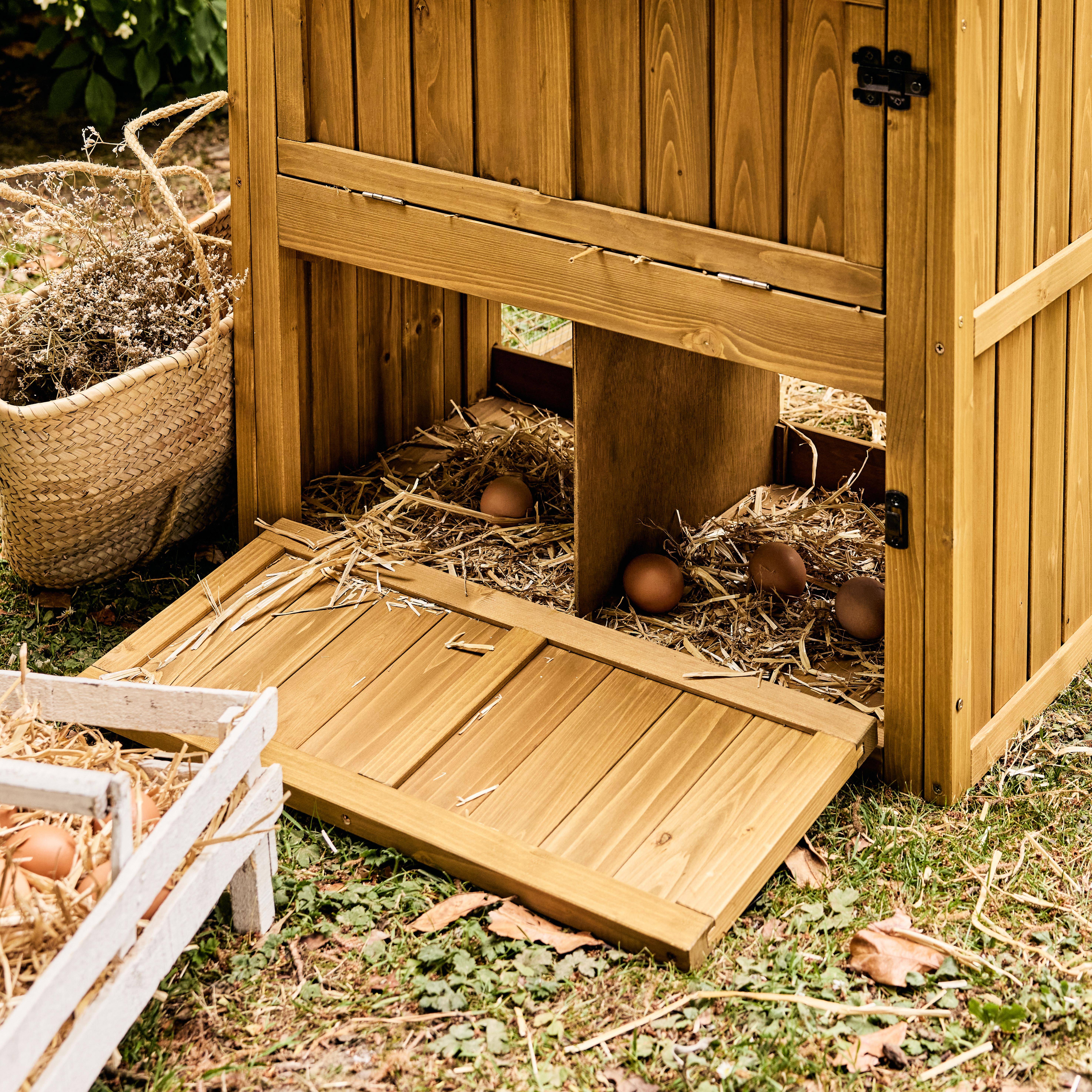 Poulailler 6 poules bois de sapin - 195,5 x 90 x 152,5 cm - Gasconne Photo6