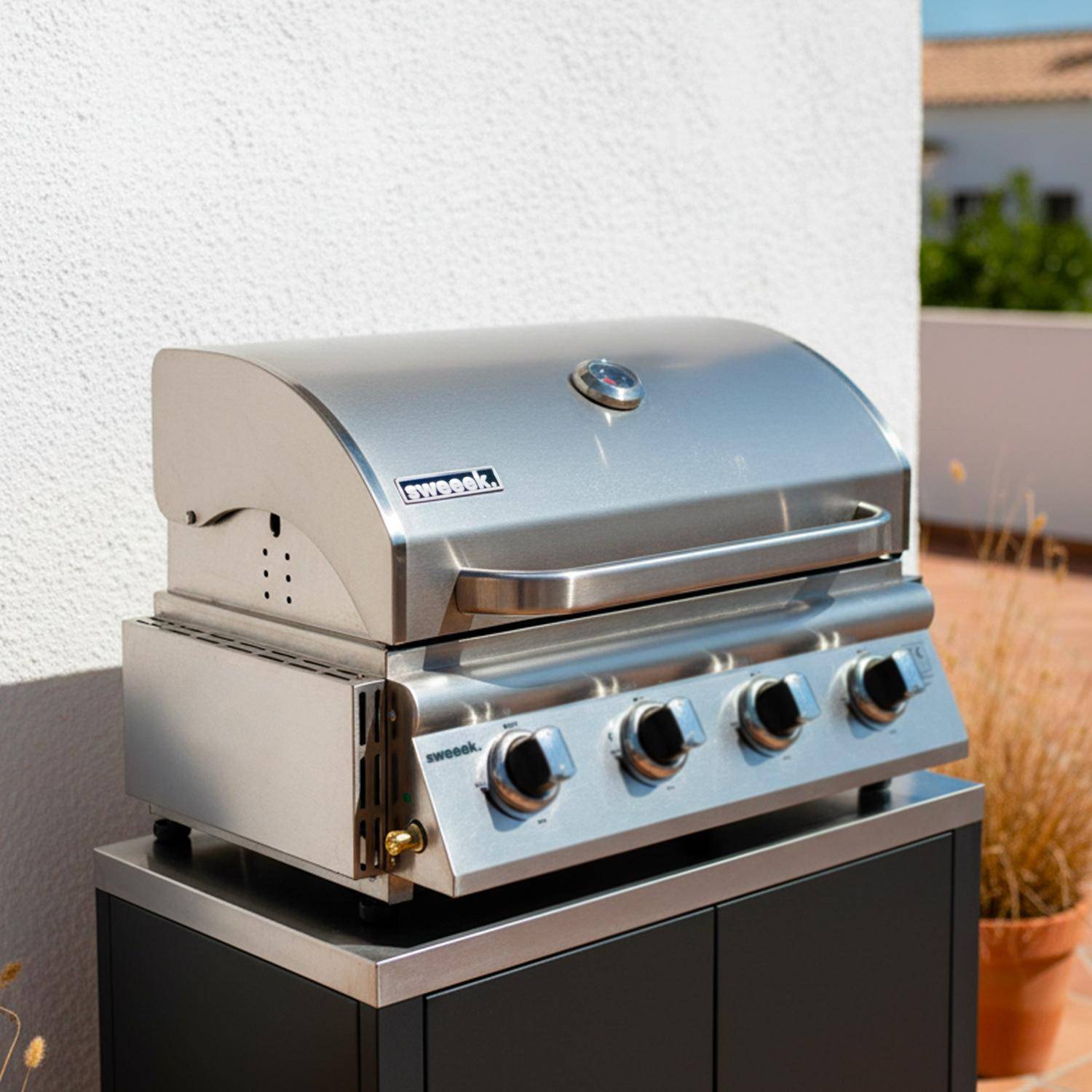 Barbecue a gas a 4 bruciatori Argento- 73x60x74 cm Photo1