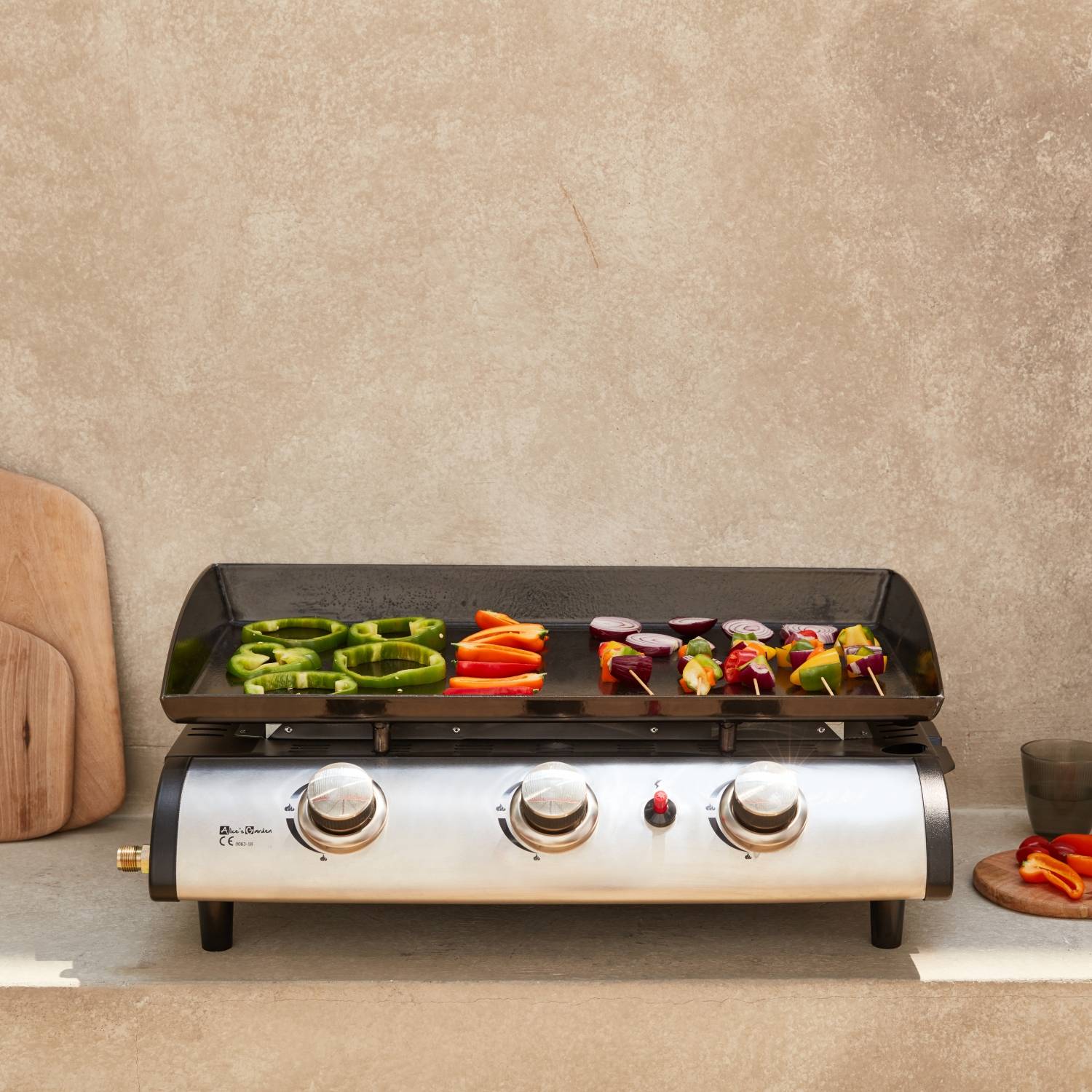 RJRoyal Living Plancha para barbacoa Amigo de acero inoxidable, con placa  de fuego, cocina de jardín, barbacoa al aire libre, cocina, jardín,  exterior, cocina, plancha, 67 diámetro x 92 cm, color 