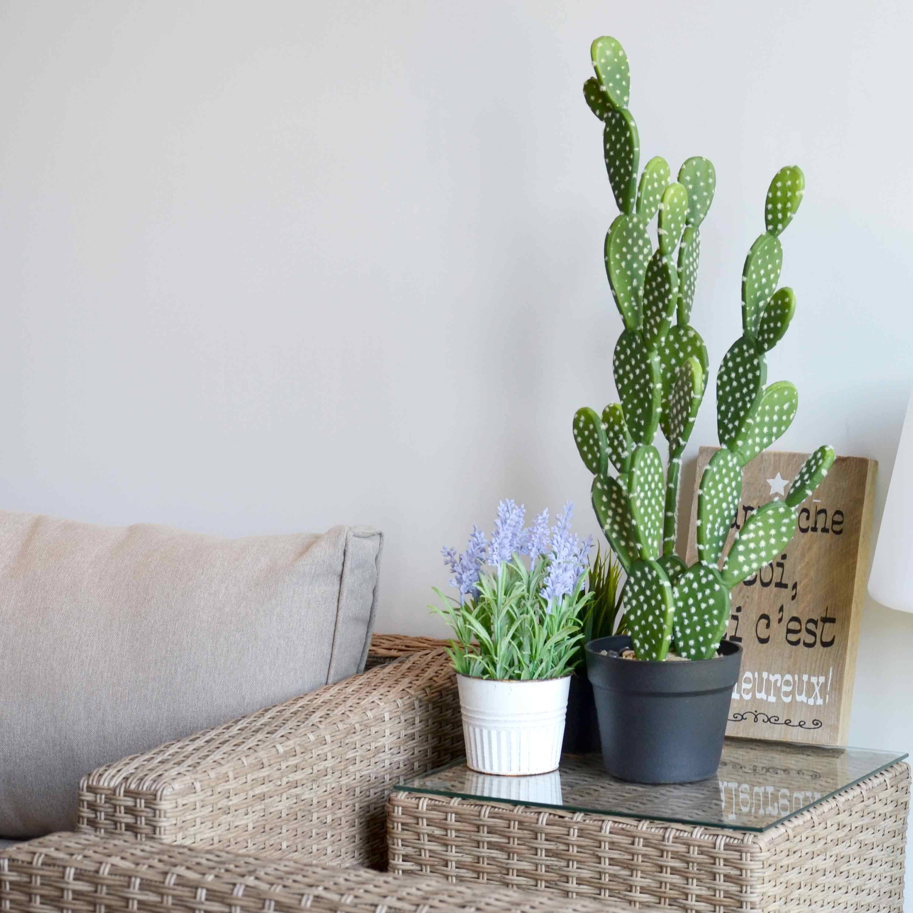 Planta artificial, cactus, interior, 72cm, musgo,sweeek,Photo3