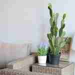 Kunstplant, cactus, binnen, 72cm, kunststof Photo3