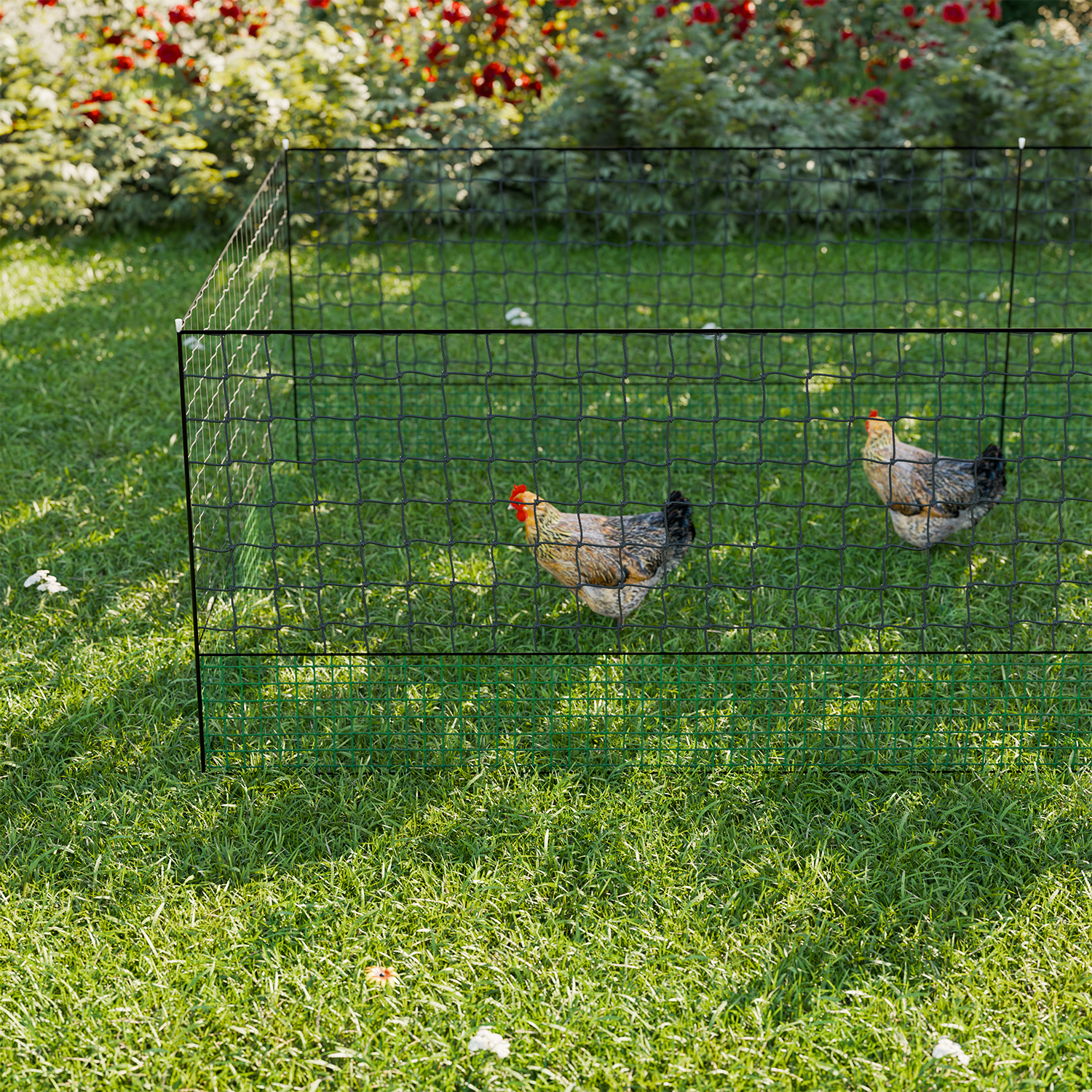 Kit modular de cercado para gallinas, Kit de valla de red para pollos, 2400x115x115 cm Photo2