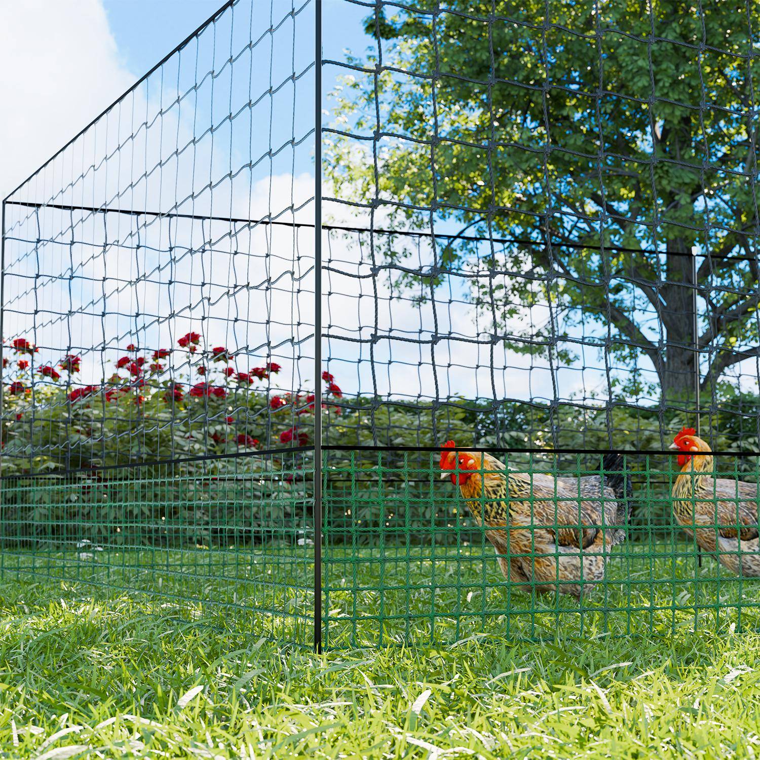 Kit modular de cercado para gallinas, Kit de valla de red para pollos, 2400x115x115 cm,sweeek,Photo1