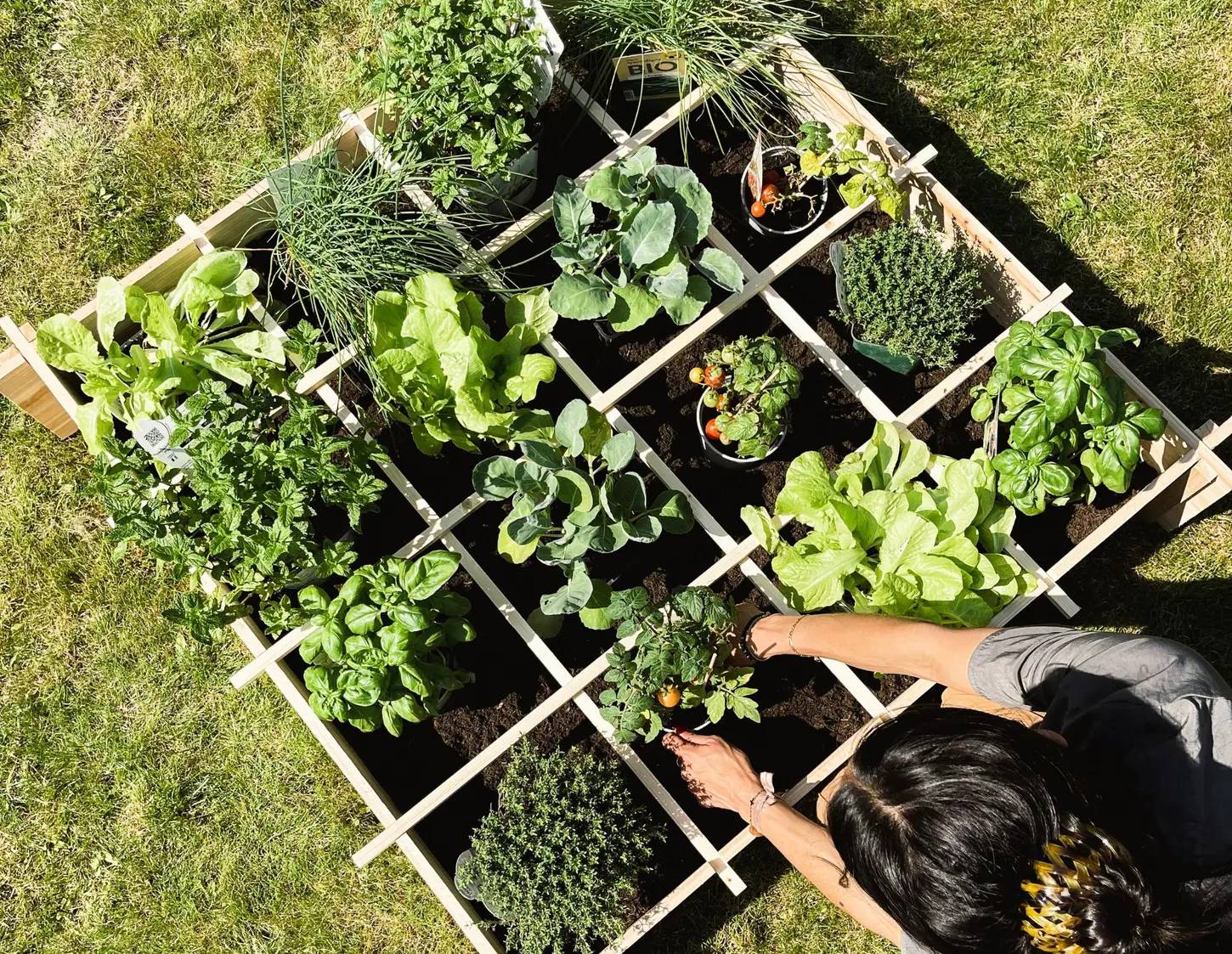 Planter et jardiner chez soi sweeek