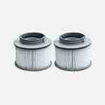Pack of two hot tub filters - Alpine 4 & 6 and Super Camaro -  2 replacement filter cartridges for MSpa inflatable hot tubs Photo1